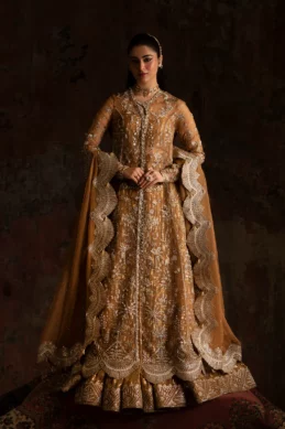 Nyra - Wedding Festive 25 - Zinnia