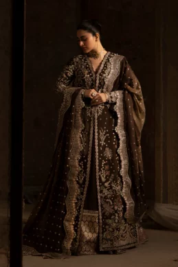 Nyra - Wedding Festive 25 - Zareen