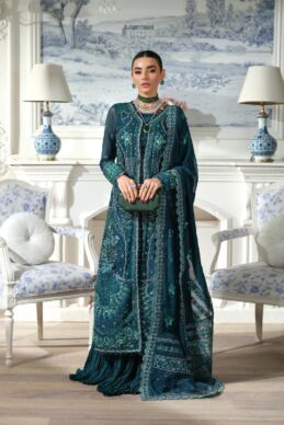 Maryam Hussain - Meer - Momal