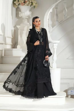 Maryam Hussain - Meer - Andaz