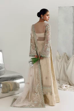 Akbar Aslam - Meeras - Ruya