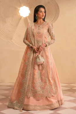 Mohidshahzad - Eliana - AMELIA
