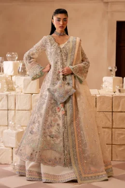 Mohidshahzad - Eliana - OPLINE