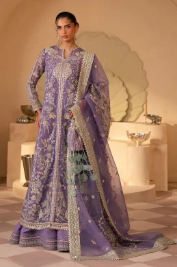 Mohidshahzad - Eliana - SIAN