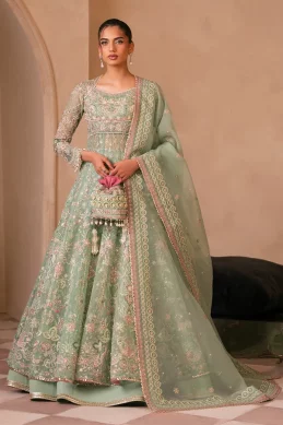 Mohidshahzad - Eliana - HAZEL