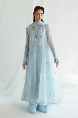 Qalamkar – Chiffon-26 - SONA