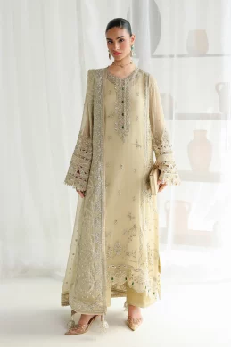 Qalamkar – Chiffon-26 - DEENA
